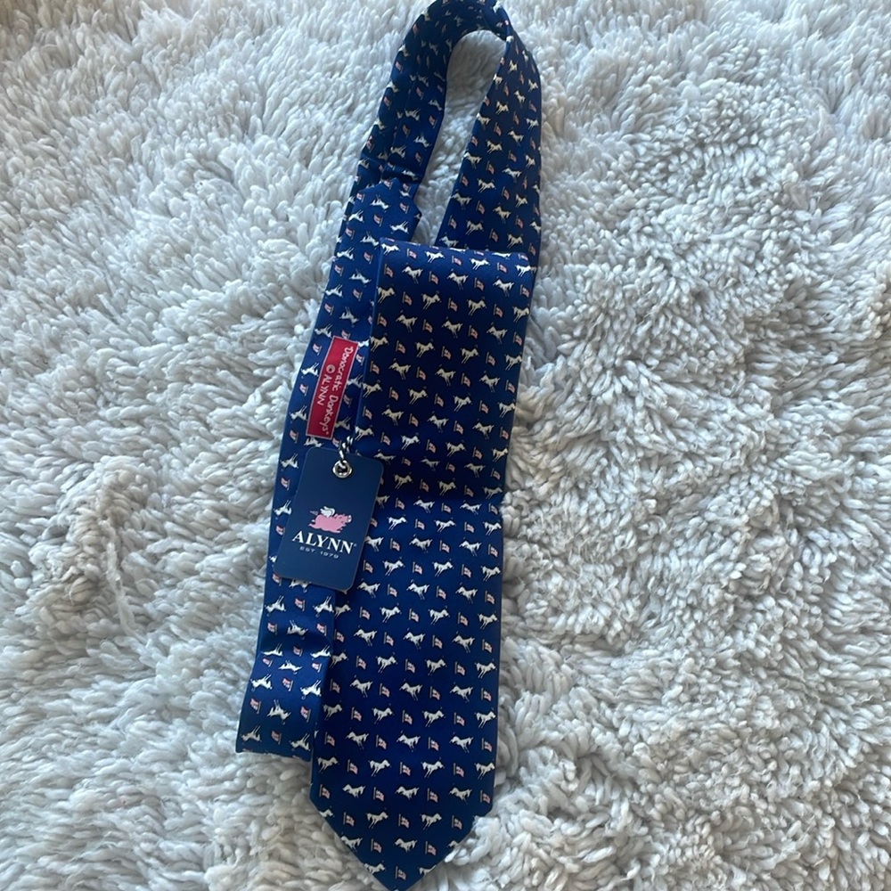 NWT ALYNN Tie!